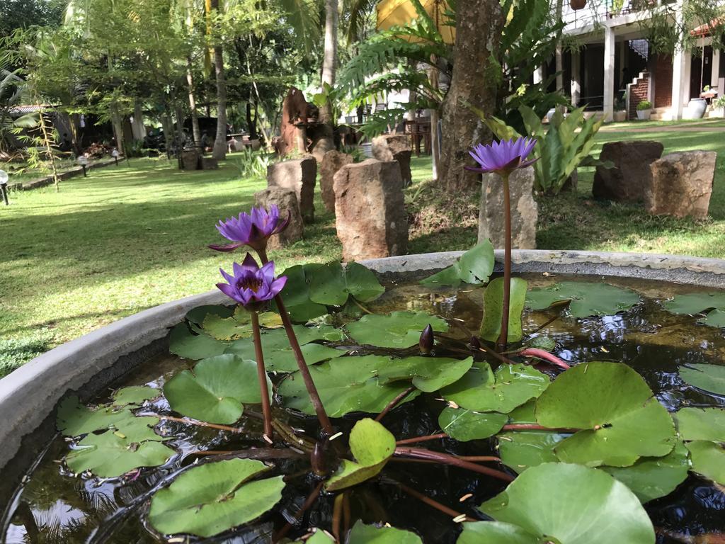 Hotel Heladiv Anuradhapura Exteriör bild
